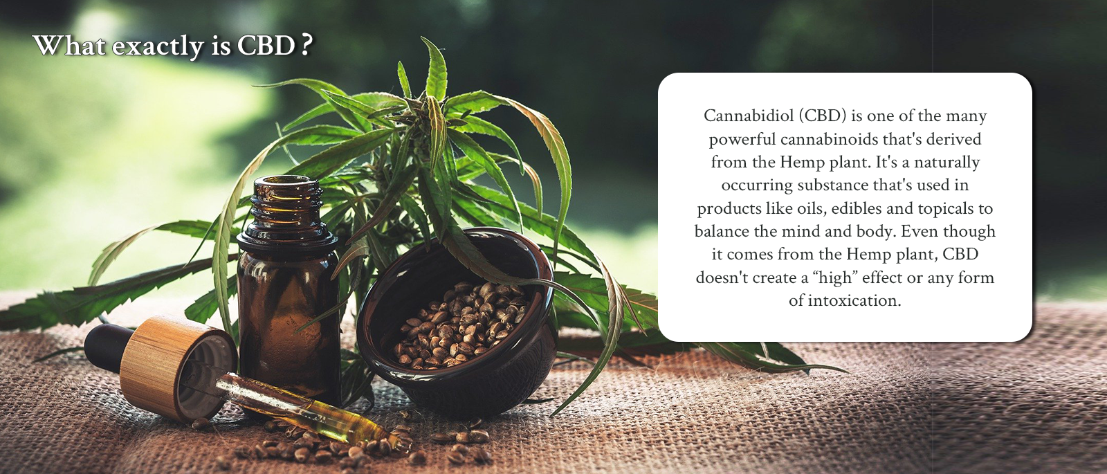 https://cannacare.gi/wp-content/uploads/2021/08/Banner-7.png